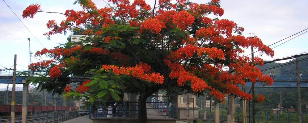 
            Фотография Жапери