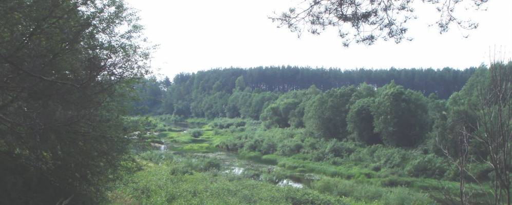 Фотография Сорокино