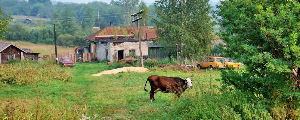 
            Фотография деревни Горушки