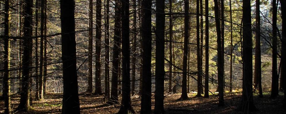 
            Фотография Стаищей