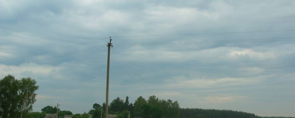 Фотография Любячки