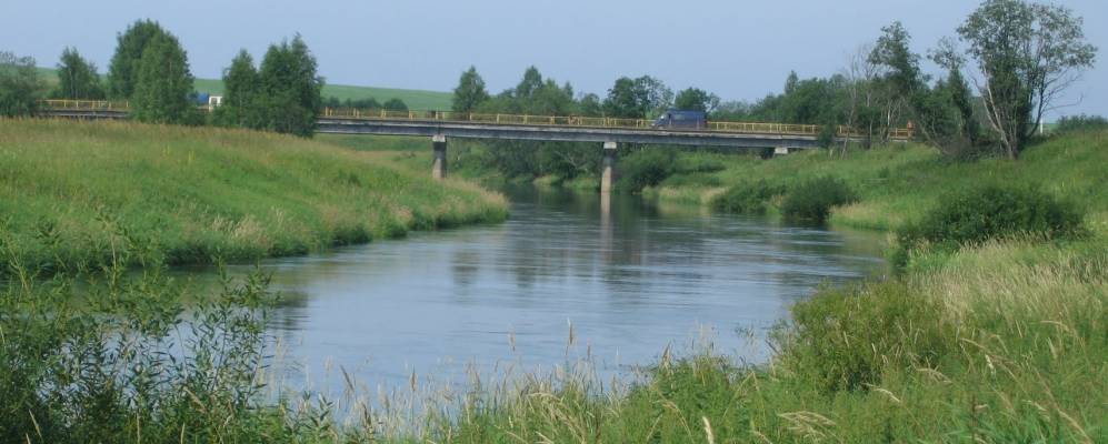 
            Фотография Тройни