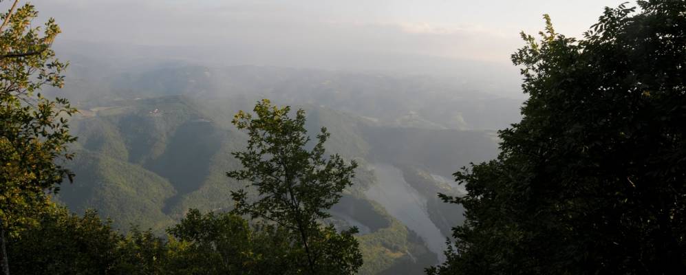 
            Фотография Гучы