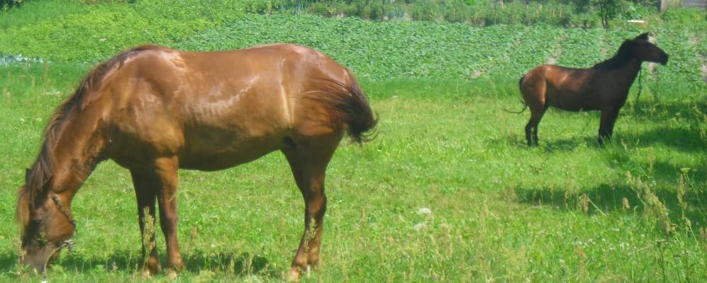 
            Фотография Первомайского