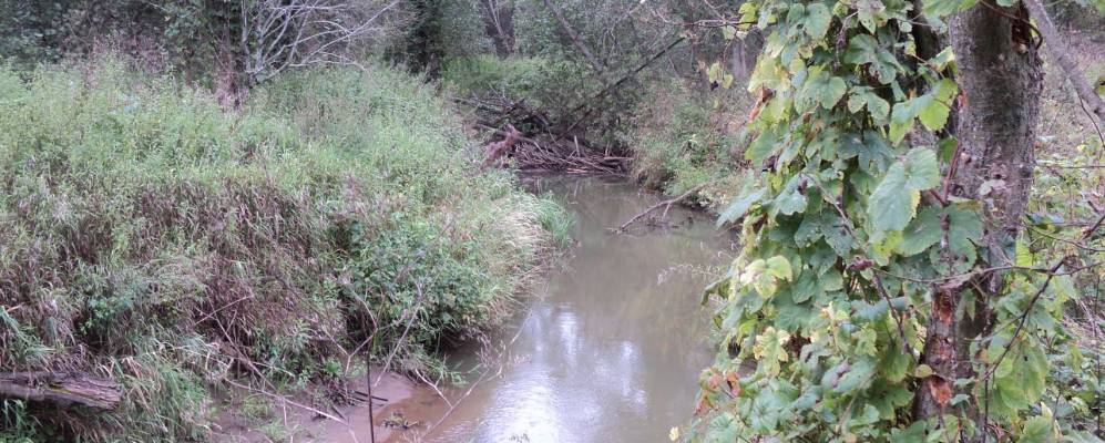 
            Фотография Ширяево