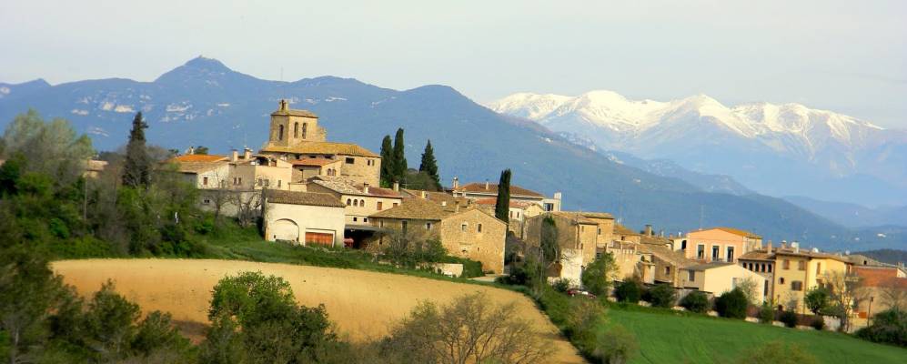 
            Фотография Виладемульс