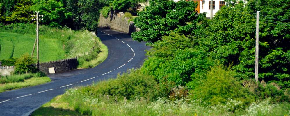 
            Фотография Странокума