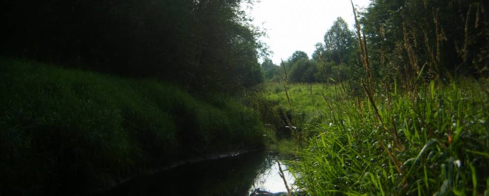 
            Фотография Заречья