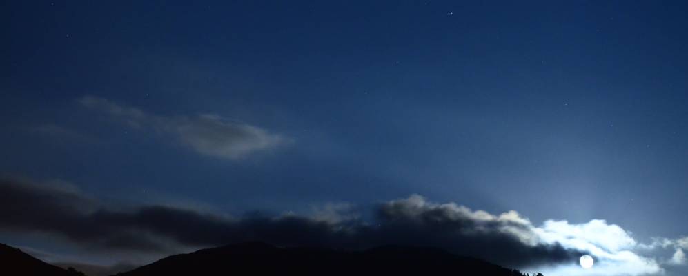 
            Фотография Пиглио