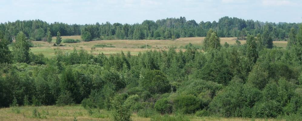 Фотография Барбашино