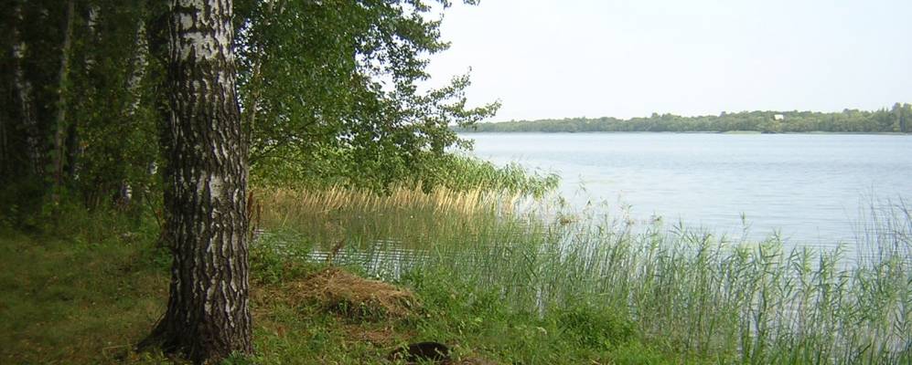 Фотография Коробово