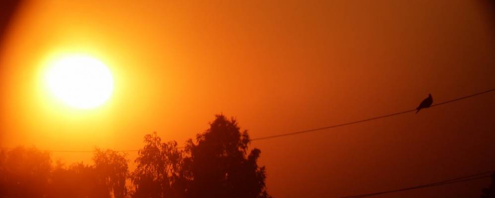 
            Фотография Заньки