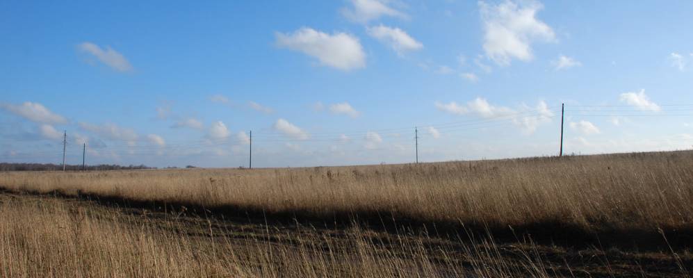 
            Фотография Черной