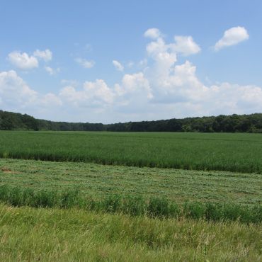 Малая Гремячая