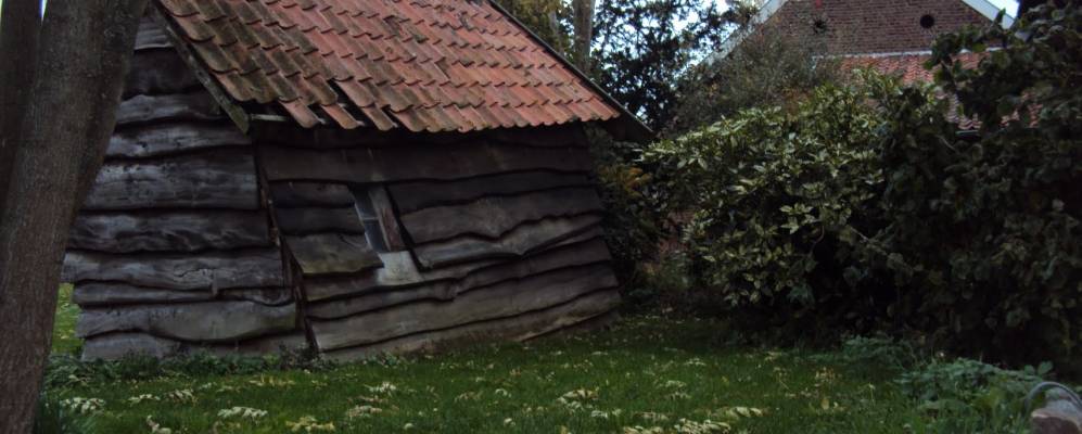 
            Фотография Нута