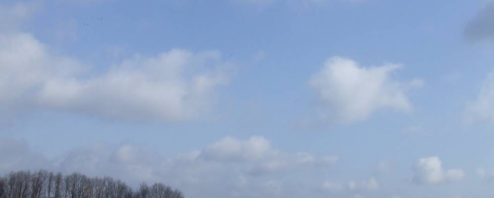 
            Фотография Коленьки