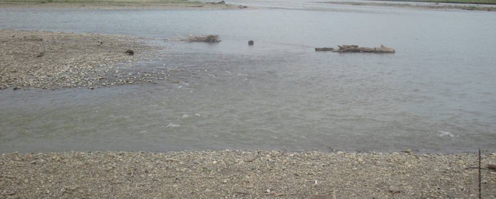 Фотография Сеятеля