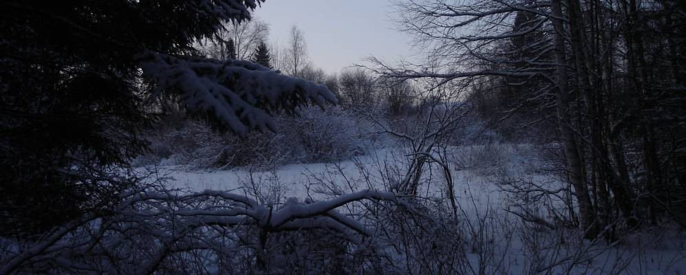 
            Фотография Марчугов