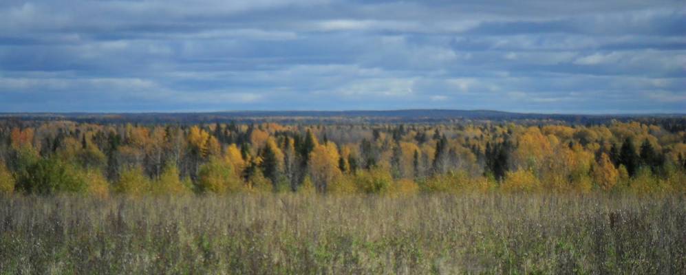 
            Фотография Каптала