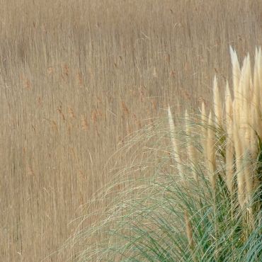 Кане-ан-Руссийон