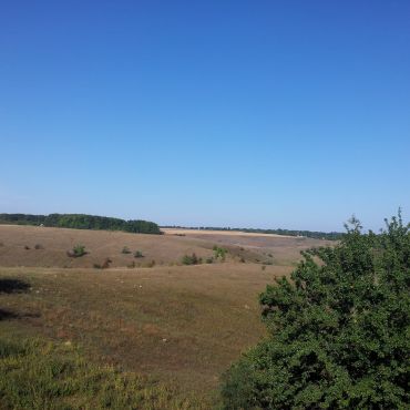 Стулеповка