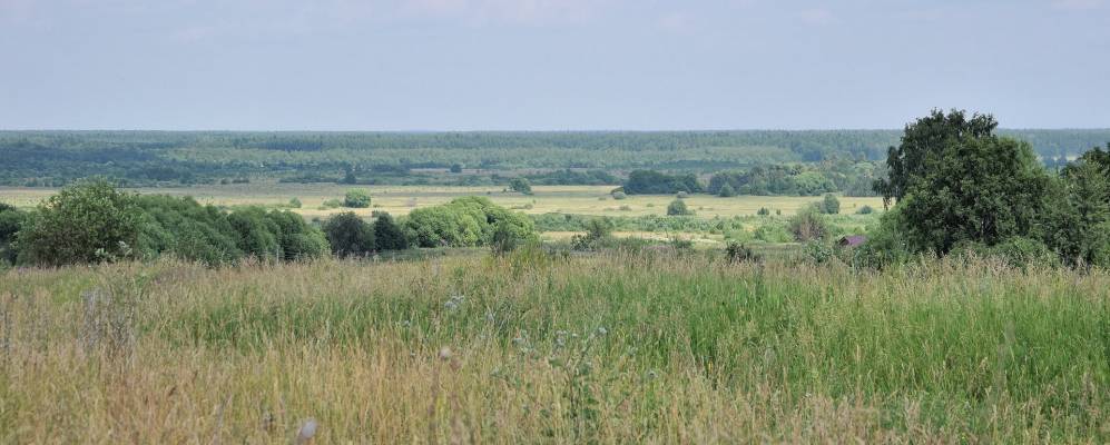 
            Фотография Сваино