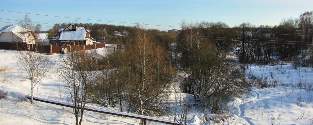 
            Фотография Пёсья