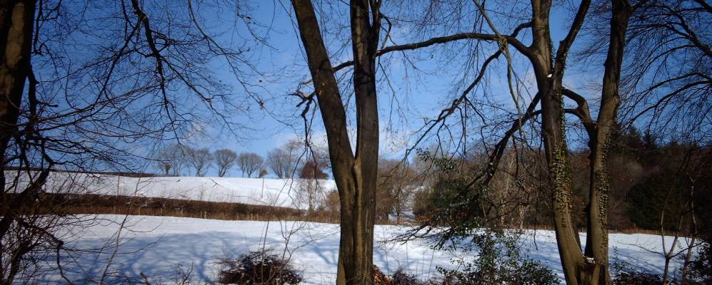 
            Фотография Лланхарана