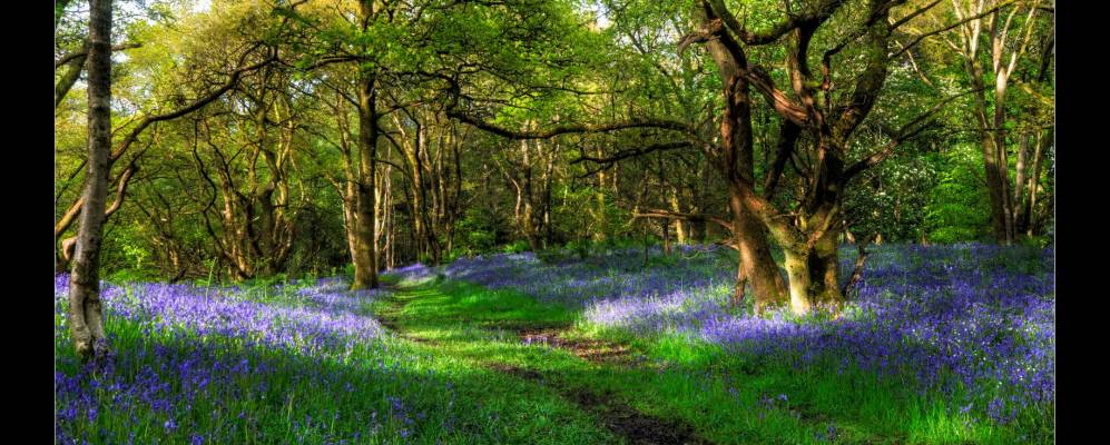 
            Фотография Киллерна