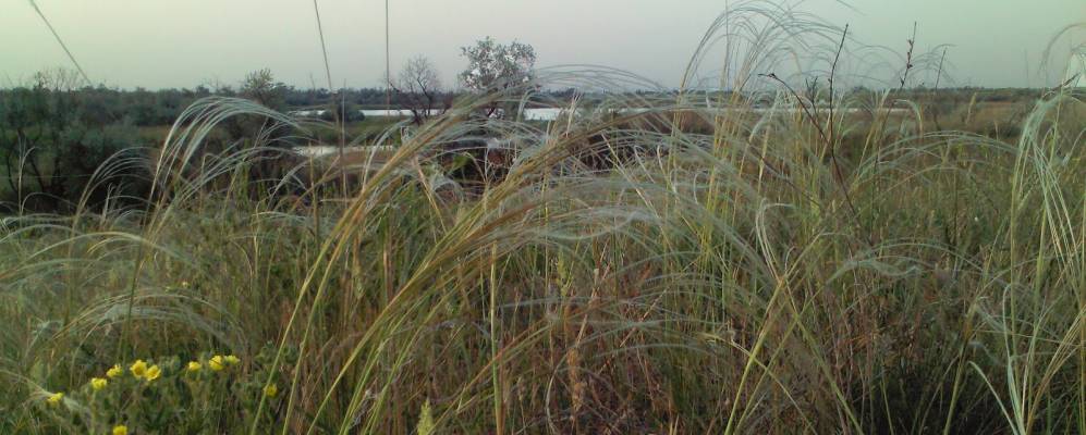 
            Фотография Новоселовки