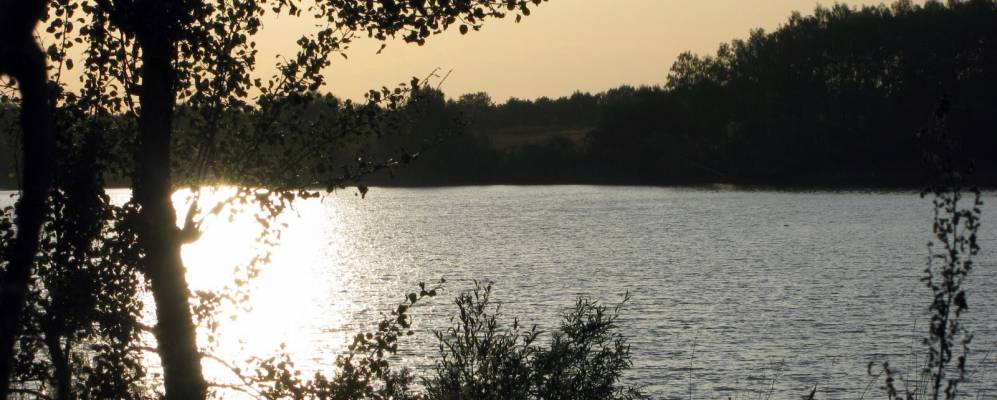 
            Фотография Лозового