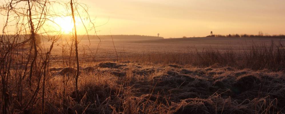 
            Фотография Самотвура