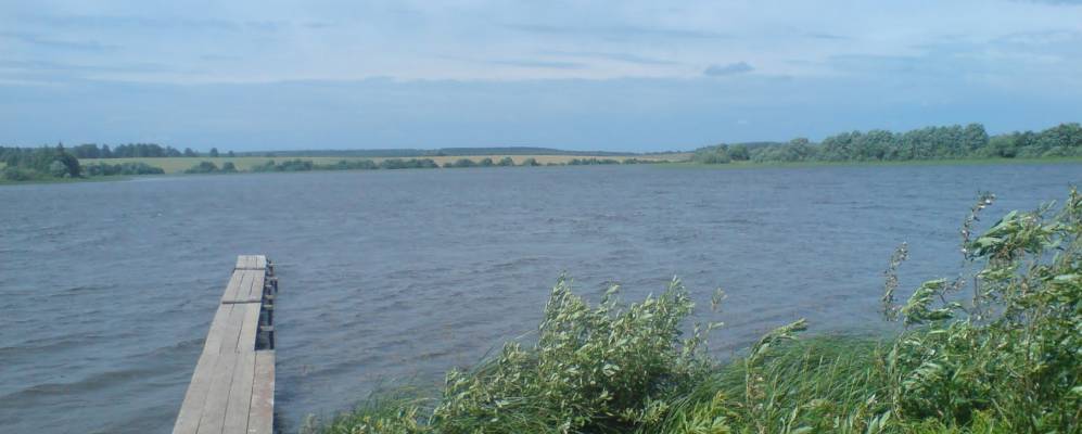 
            Фотография Никулинки