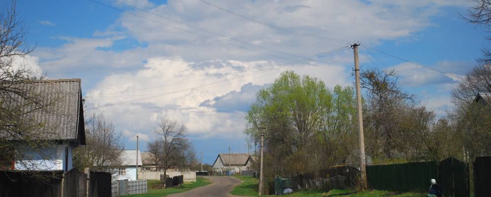 
            Фотография Арламовской Воли