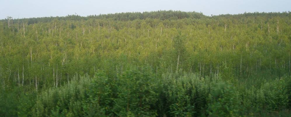 
            Фотография Выступовичи