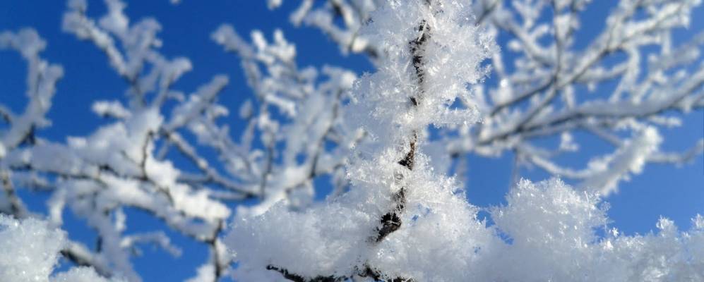
            Фотография Пополутово