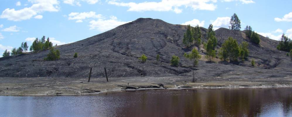 
            Фотография Глубовского