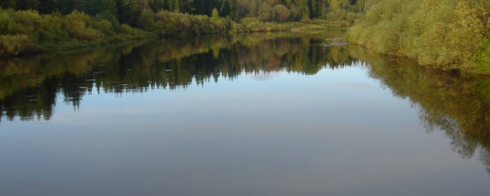 Фотография Весляны