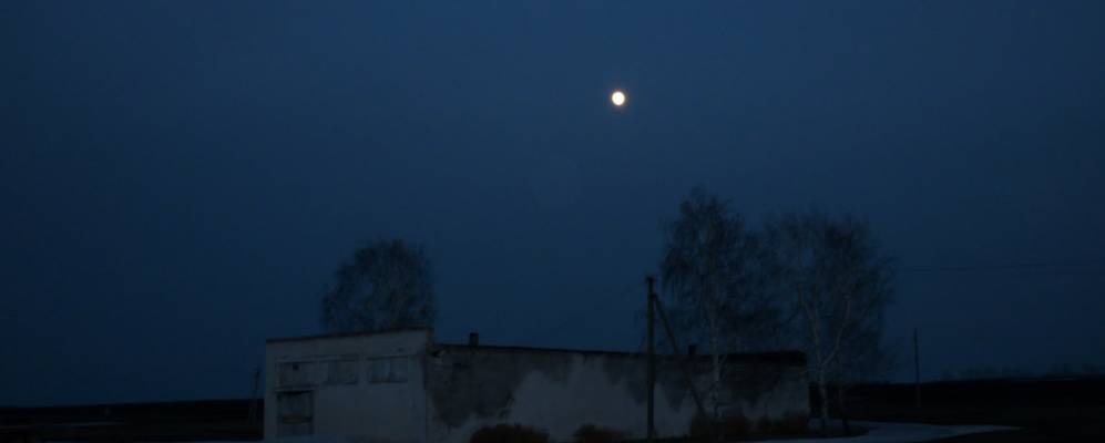 
            Фотография Меселей