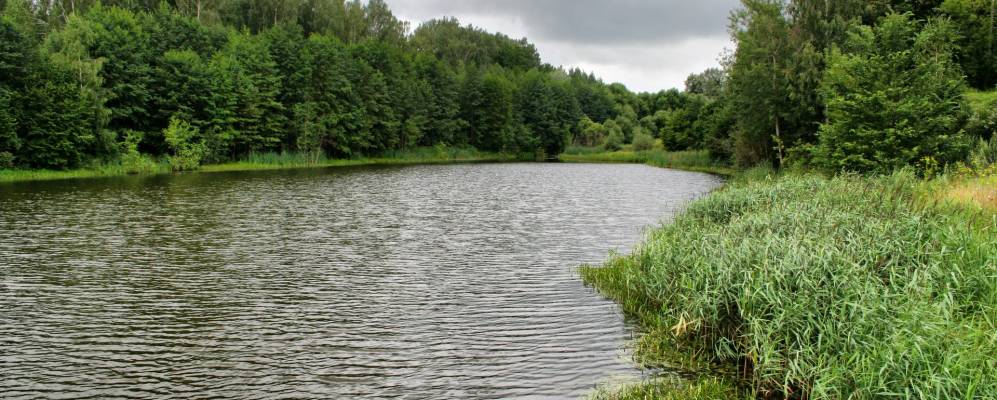 Фотография Дягово