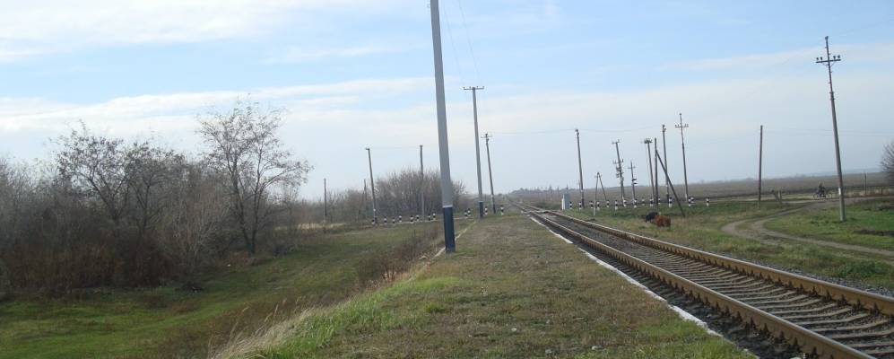 
            Фотография Степка