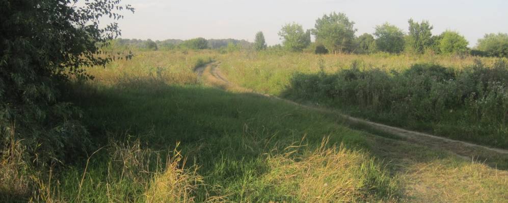 
            Фотография Покровского