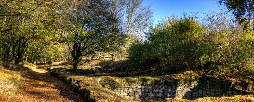 
            Фотография Глаубурга