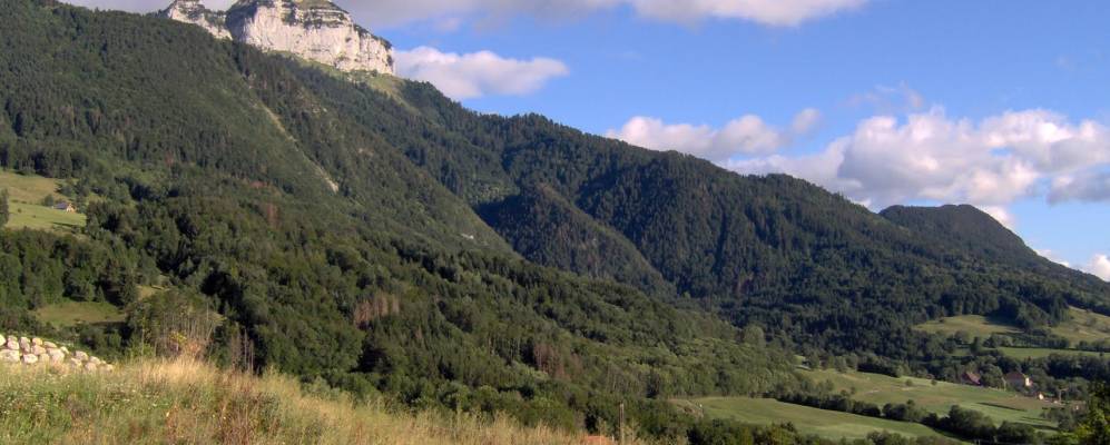 
            Фотография Авьерно