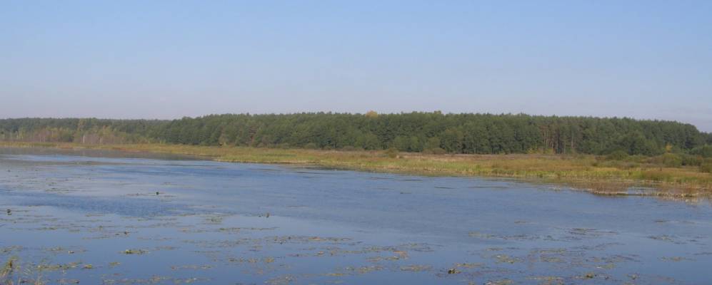 
            Фотография Новоставцы