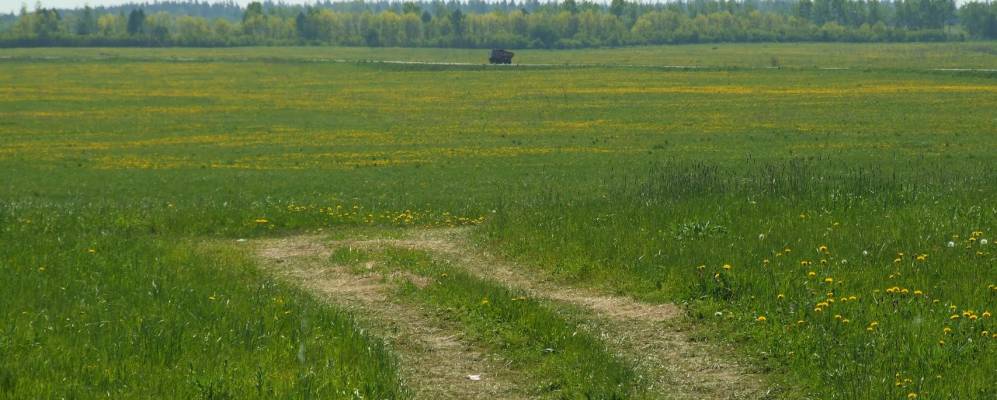 
            Фотография Глядино