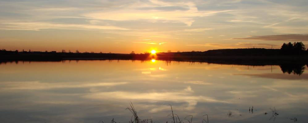 
            Фотография Вихляева