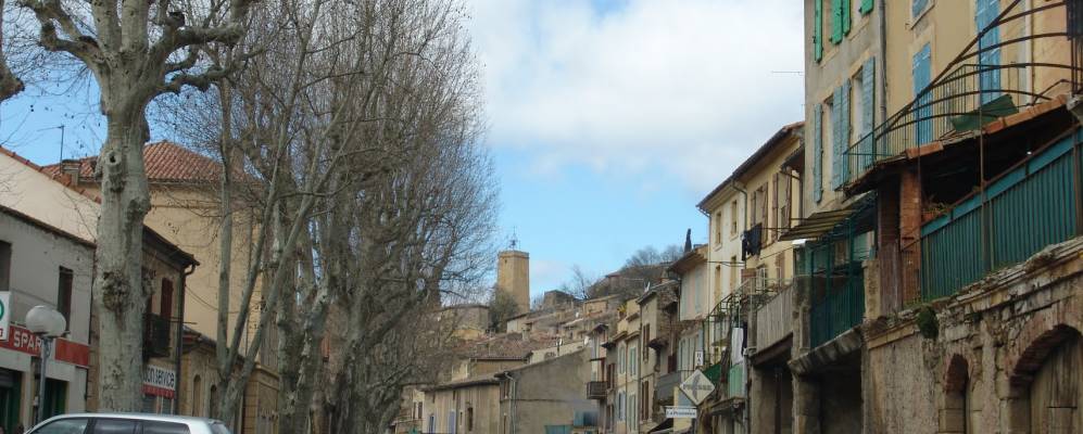 
            Фотография Жук