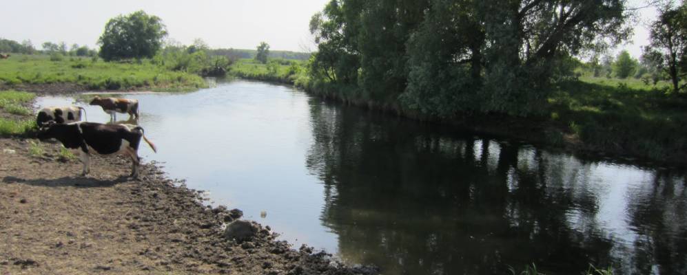 
            Фотография Кагани