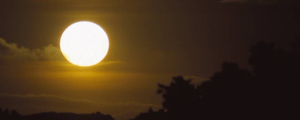 
            Фотография Анкуда